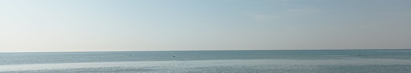 zannatigre's cover